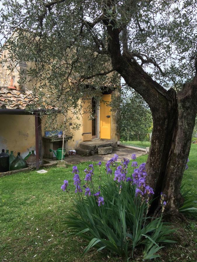 Settignano Tuscany Homes מראה חיצוני תמונה